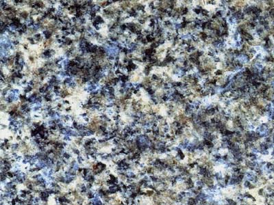 African Blue 2