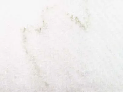 Bianco Arni 3