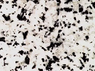 Blanco Berrocal 2
