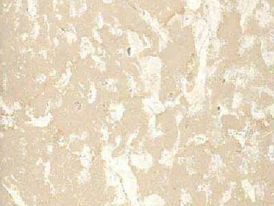 Botticino Fiorito – Limestone