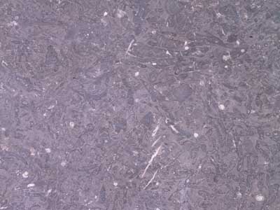Elk Brook Bluestone – Quartzite