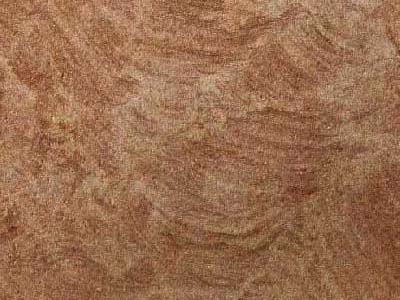 Arenisca DE Aguilar – Sandstone