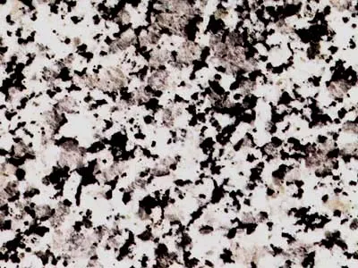 Gris Perla 2
