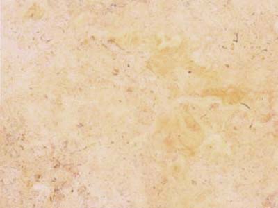 Belfont Belleu Coquiller – Calcaire