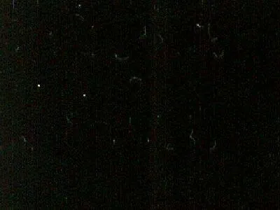 Negro Monterrey – Marble