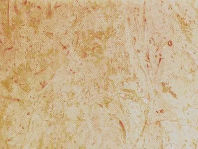Perlato Svevo – Limestone