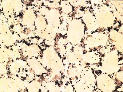 Semien Pink – Granite