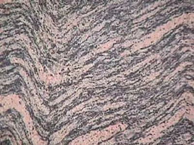 Tiger Skin 2