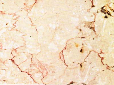 Anrochter Dolomit – Limestone