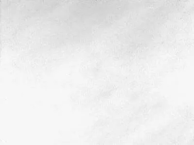 Tranovaltos White 2