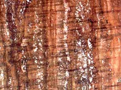 Persian Red – Travertine