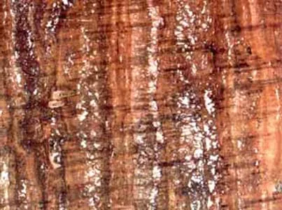 Travertino Rojo – Travertine